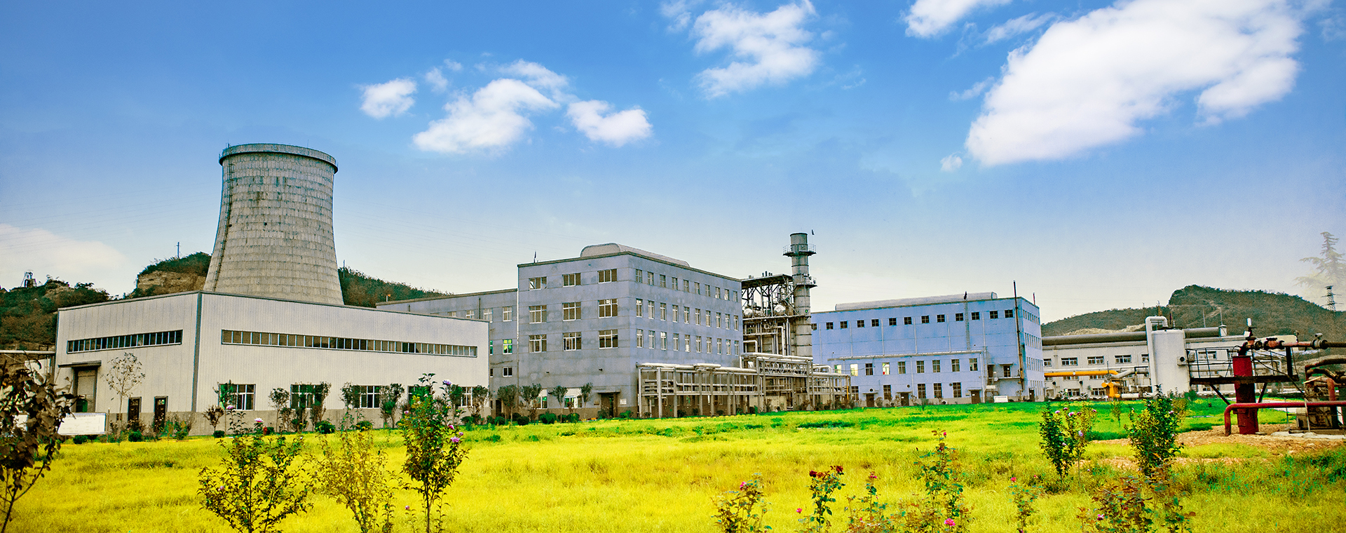 美丽yl7703永利官网